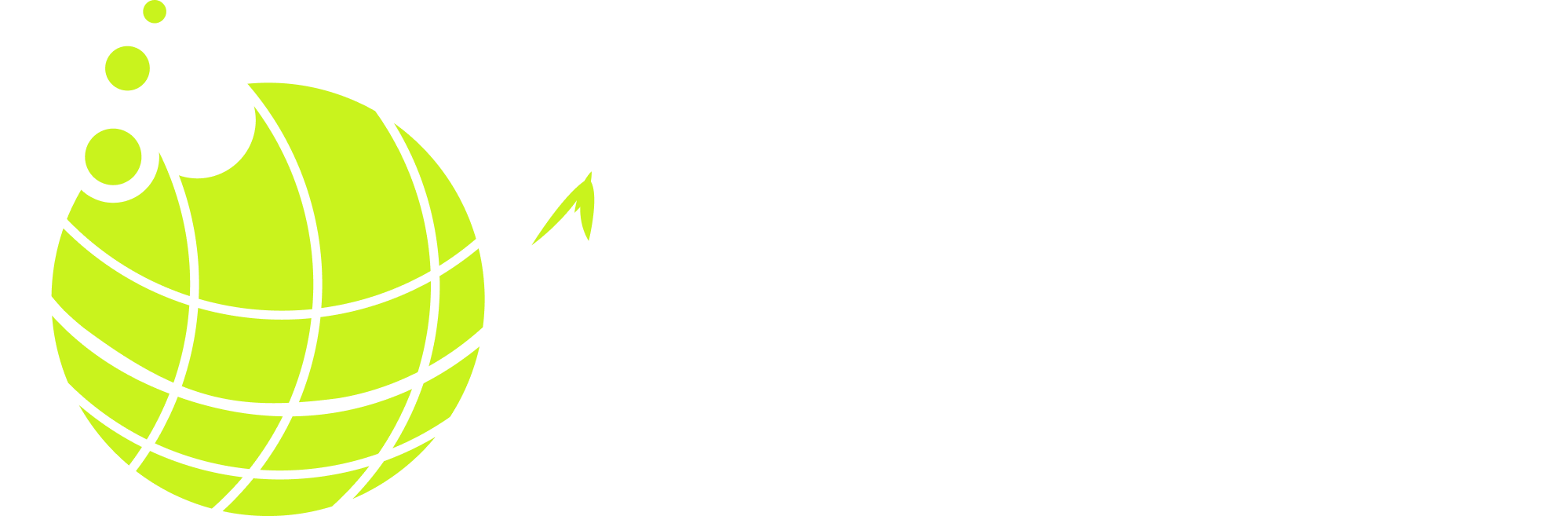 DigiFlow